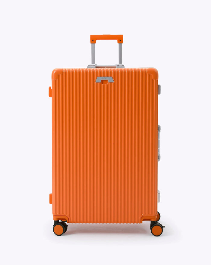 Carry-on + Check-in